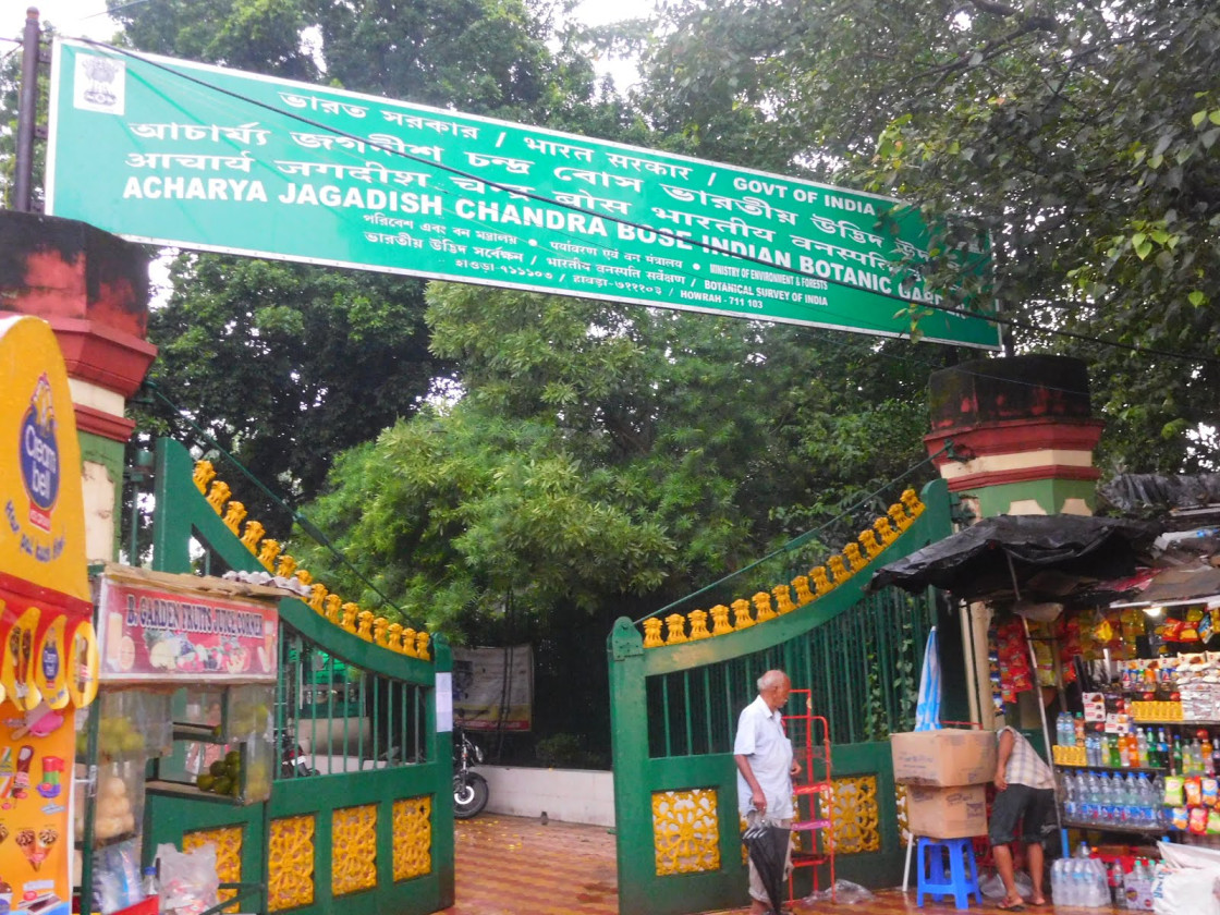 Kolkata Tour Guide | Discover the City of Joy photo 3
